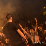 0292 Morčata na &uacute;těku